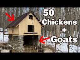 Stone Chicken Coop FULL BUILD