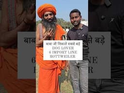 Babaji Dog lover 🐶❤️ #feedshorts #shortsfeed #ytshorts