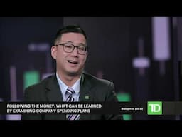 Following the money: What company capex plans say about the markets