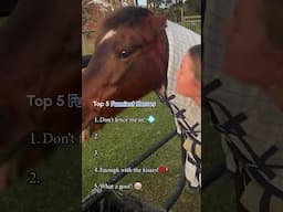 Top 5 Funniest Horses #Horse #FarmAnimals #Top5
