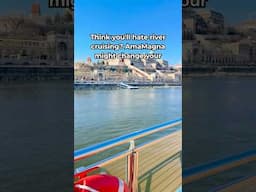 Here's what we LOVED and HATED about our recent river cruise #cruise #shorts