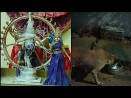 அபிஷேகம் செய்த பாலை பைரவர்கள் பருகும் காட்சி