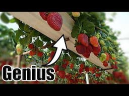 Grow More Food in Raised Beds & Containers -7 Creative Ways