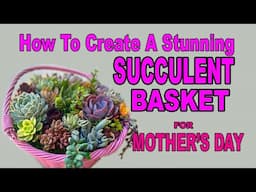 How to Create a Stunning Succulent Basket That Mom Will Love (Better Than Flowers!)