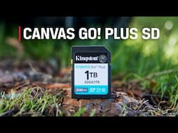 Class 10 SD Card - UHS-I, U3, V30 - Canvas Go! Plus SD - Kingston Technology