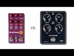 Chase Bliss Audio Brothers AM Analog Man vs Shnobel Tone Daily Driver