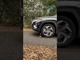 I ran over a Minecraft villager with my car #minecraft #aminecraftmovie #craft #sculpture