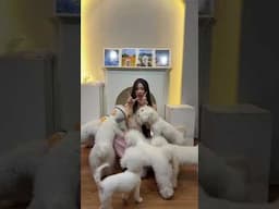 🐶🤏🏻