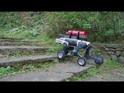 LYNX M20: Revolutionary Wheeled-Legged Robot for Extreme Environments