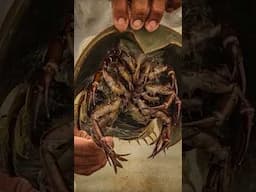 The Blood That Can Make You Instantly Rich