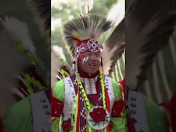 Fancy Feather Dance: Origin, History, and Modern Powwow Style