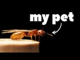 Leaving My Pets Alone For 14 Days.. THIS Happened