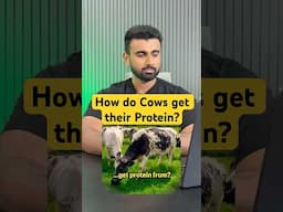 If you are a Vegan, watch this!
