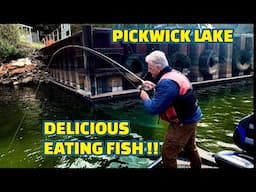 CATCHING FISH for DINNER !! BEST TASTING FISH in the RIVER !