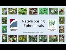 Native Spring Ephemerals