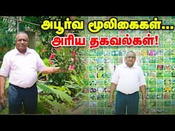 நோய்களில் இருந்து தப்பிக்க இந்த மூலிகைகள் போதும் | Herbal Garden -ல் அசத்தும் சித்த மருத்துவர்!