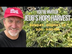 Jeub's Annual Hops Harvest