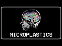 The Plastic Invasion of Your Body