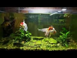 Sunday Fish N Hits w/ Dan