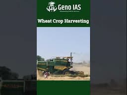 Wheat Crop Harvesting # mechanised farming #rabicrop#ghehukikheti