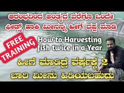 Fish farming|fond construction|seeds buy|fish buyback|murrel fish|maral fish|fish farming in kannada