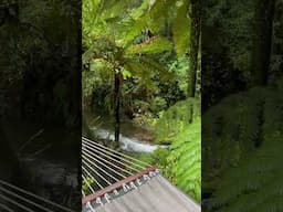 Rotorua, New Zealand 😍 #travel #newzealand #rotorua #nztravel #glamping #glampinglife #vanlife