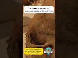 ¡NO SON HUMANOS! Este Hallazgo lo Cambia TODO