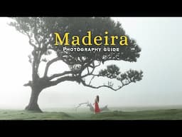Madeira Photography Guide | Exploring the Fanal Forest