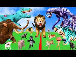 5 Giant Mammoth Elephant Cow vs 5 Zombie Tiger Lion Dinosaur vs vs Giant Indian Squirrel Giant Panda