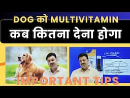 Multivitamin Syrup for Dogs कब कितना देना होगा Dog ko Multivitamin kab kitna kaise de