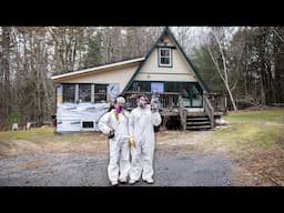 Saving Our Cabin from Black Mold
