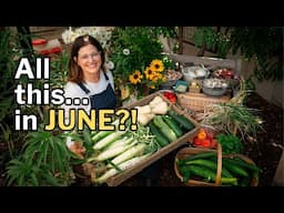 JUNE PLANTING & HARVEST GUIDE: Veggies + Flowers for the Heat