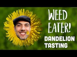 Weed Eater! Don't Waste Dandelions!