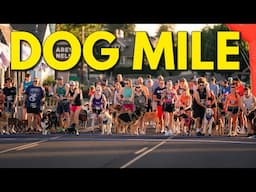 Racing the Yakima Dog Mile