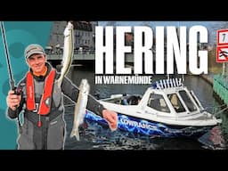 Jetzt auf Hering! Auf wählerische Fische in Warnemünde!