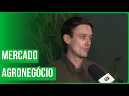 Mercado do agronegócio deve melhorar