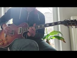 Luxor Les Paul Custom Japanese Copy with Peter Green Out Of Phase Sound