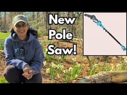 Testing Out A Cordless Pole Saw & Mini Chainsaw | SeeSii 2-in-1 Battery Operated