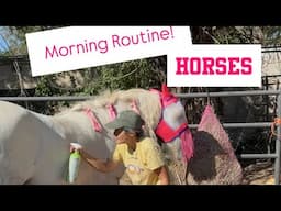 Horse Morning Routine