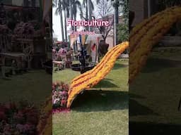 Floriculture in Faisalabad 🌹🌹