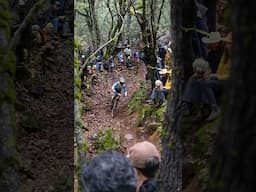 Some action from the final stages of TDS Enduro! #mtb