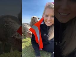 Mel & Steve is live hanging out with friends