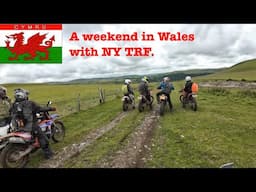 Trail Riding in Wales (NY TRF)
