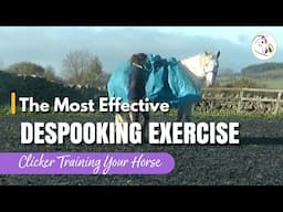 The MOST Effective Despooking Exercise: Clicker Training Your Horse