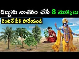 ఈ 9 చెట్లు మరియు మొక్కల వల్ల పేదరికం వస్తుందని, వాటిని వెంటనే పీకి పారేయమని శ్రీ కృష్ణుడు చెప్పాడు