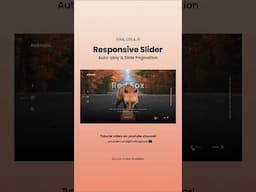 Responsive Image Slider Website | Right/Left Navigation, Auto-play & Pagination HTML CSS Javascript