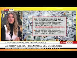 💵 LUIS CAPUTO PRETENDE FOMENTAR EL USO DE DÓLARES