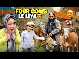 Alhamdulillah ❤️ 4 Cow  Lelia Qurbani K Liye | Mandi Loot Li 😂