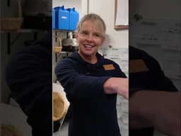 Bird Rescue: Identifying Injured Birds at the Clinic