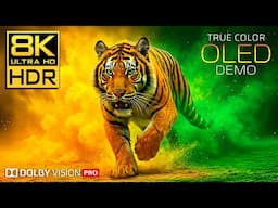 Best HDR 8K Video | ULTRA HD 120FPS Dolby Vision™ Demo – Real OLED Test (2025)